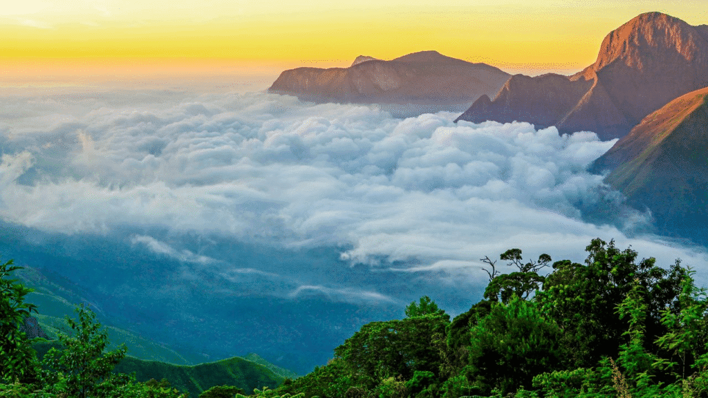 Munnar Hill Station Tour